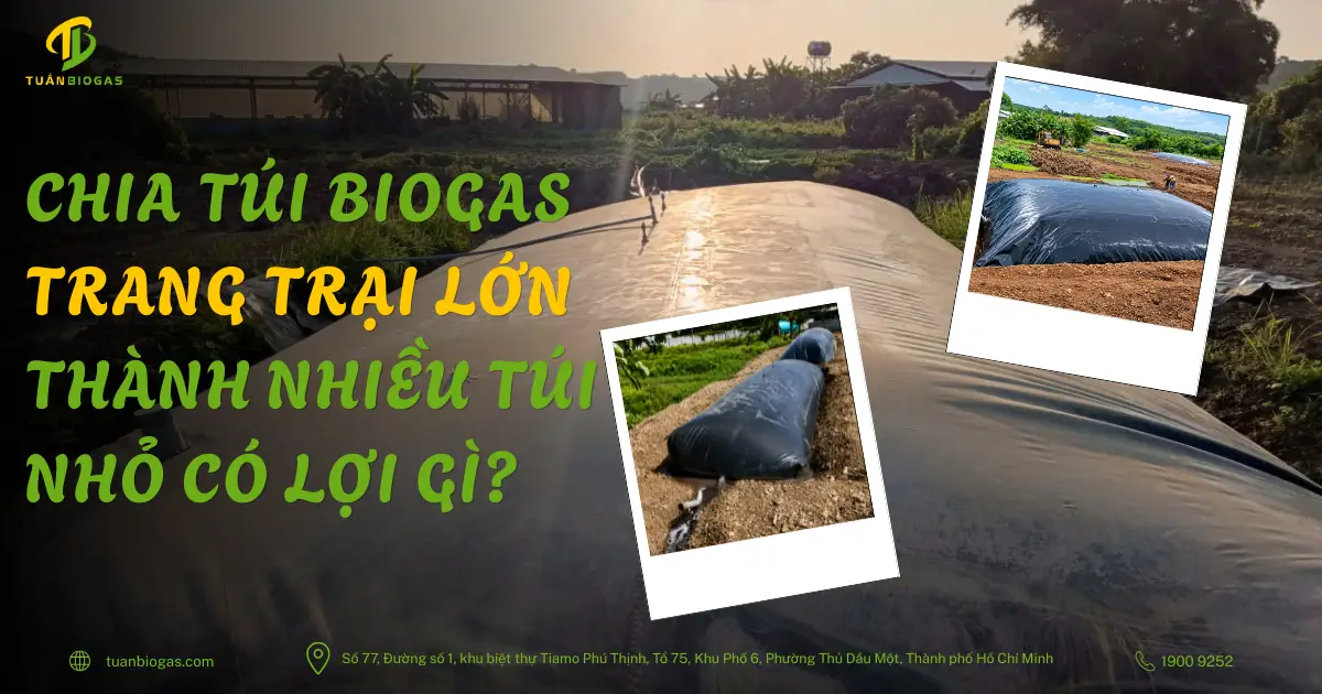 Chia Túi Biogas Trang Trại Lớn Thành Nhiều Túi Nhỏ Có Lợi Gì?